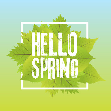 Hello spring. Lettering with hand drawn letters. Label and banner template with green leaves with frame vector illustration.