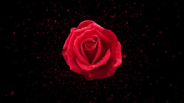 Valentinstag Rose entsteht aus Partikeln Background