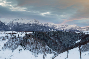 Winter landscape 