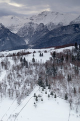 Winter landscape in the Carpathian Mountains
