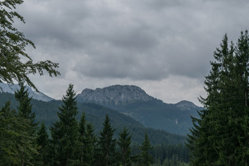 Allgäu