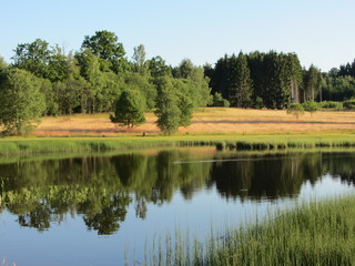 Fototapeta na wymiar Bäume spiegeln sich im See