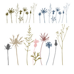 Floral background with meadow grasses, herbs and wild flowers ou