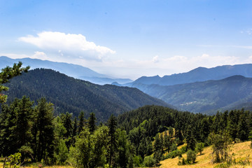 Fototapeta premium Mountains with green forest landscape.