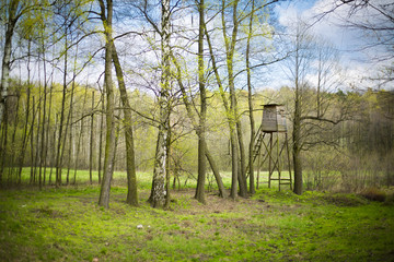 Hunters tree stand among trees in forest