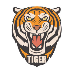 image of angry tiger head