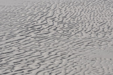 The beauty of South Africa's West Coast