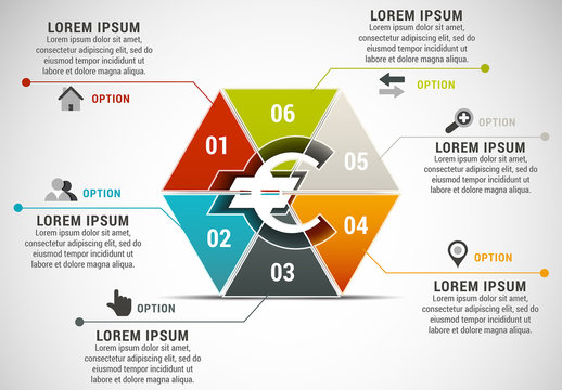 Euro and Hexagon Business Infographic