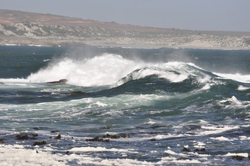The beauty of South Africa's West Coast