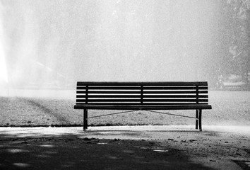 Bench in a park