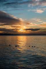 Fototapeta premium Pacific Northwest Sunset 6
