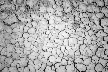 dry soil cracked earth texture