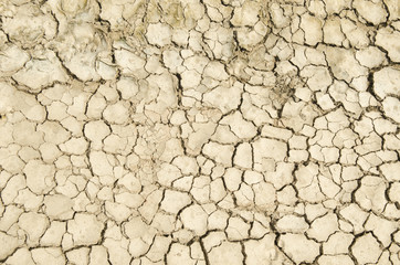 dry soil cracked earth texture