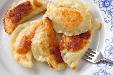Piroggen