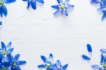 Spring frame with flowers snowdrops on white wooden background with free space