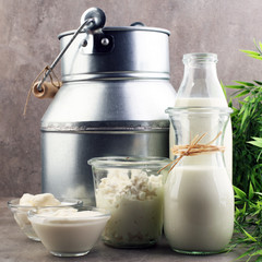 tasty healthy dairy products on a table on: sour cream in a white bowl, cottage cheese bowl, cream in a a bank and milk  jar, glass bottle and in a glass