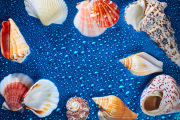 Marine items on wet blue background