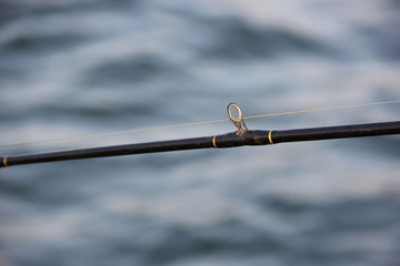 fishing rod