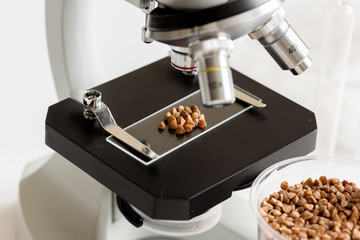 Tests for pesticides in cereal in at laboratory
