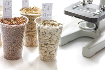 Fototapeta na wymiar Tests for pesticides in cereal in at laboratory