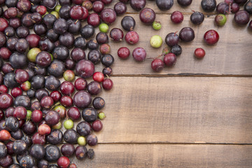 Agráz tropical fruit (Vaccinium meridionale)