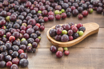 Agráz tropical fruit (Vaccinium meridionale)