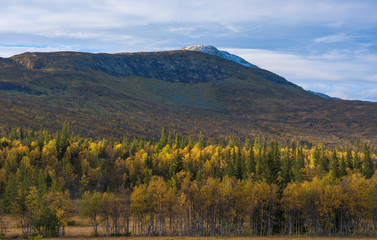 Autumn forest in the foreground and snowy mountain top in the back