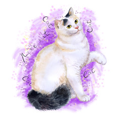 Watercolor portrait of Turkish Van cat isolated on pink background. Hand drawn sweet home pet. Bright colors, realistic look. Yellow eyes. Greeting card design. Clip art illustration. Add your text - 133712337