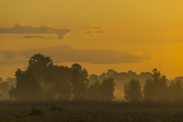Thailand local field with sunset