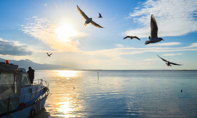 Seagulls flying over sunny, blue, cloudy sky.  There is a fishing boat on the sea.  © oralz