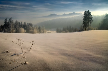 Pieniny winter fields © swen_stroop