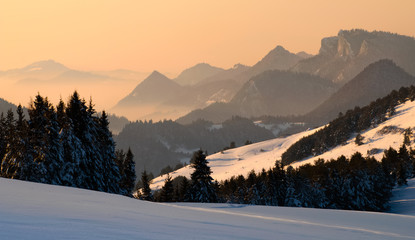 Pieniny winter © swen_stroop