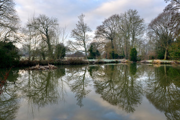 Fototapeta na wymiar Reflections of winter trees in a lake