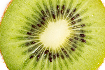 Kiwi fruit macro