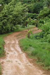 Guyane - Saül Dec 2016