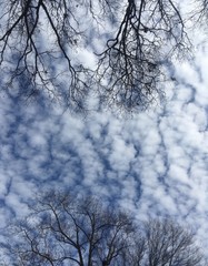 cirrocumulus clouds in winter sky at dusk