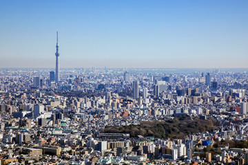 Fototapeta na wymiar modern cityscape of japan