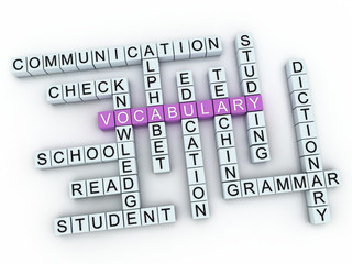 3d image Vocabulary issues concept word cloud background