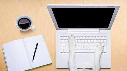 office worker dog  with laptop pc computer on desk table