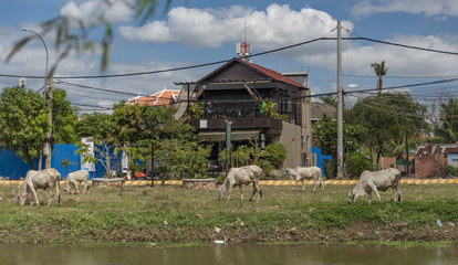 Siem Reap town in sunny day in Cambodia