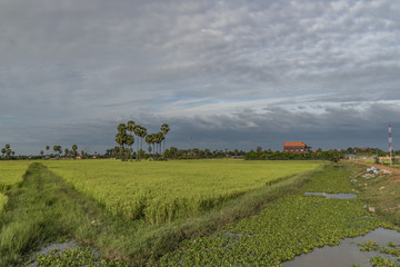 Countryside near Siem Reap town