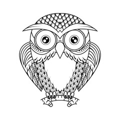 Owl sitting on branch