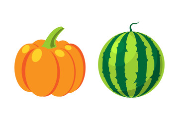 Fresh orange pumpkin and watermelon isolated vector illustration.