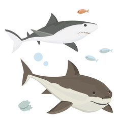 Vector shark character.