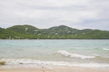 The Bank of the small uninhabited Islands.