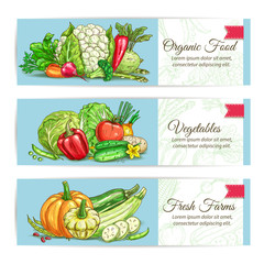 Organic vegetables vegetarian banners set