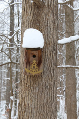 Heavy snow on a birdhouse mounted to a tree trunk
