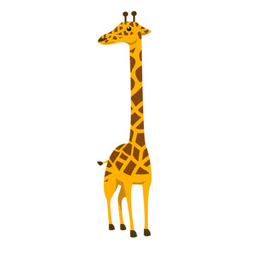cute giraffe color illustration design