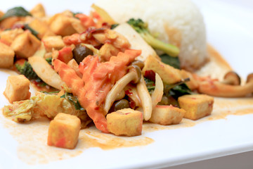 Stir Fried Tofu with Gravy Sauce and mixed vegetables in white plate on white background. Vegetarian Food, healthy food.