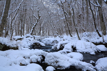 冬の奥入瀬渓流